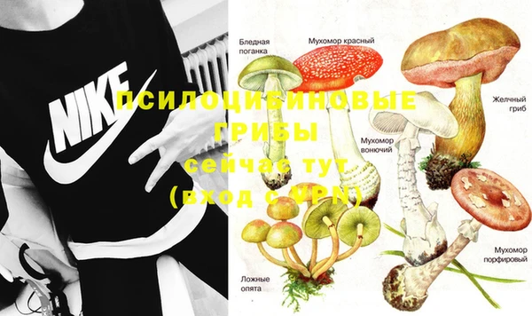 кокаин перу Богданович